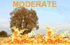 Fire Weather Index: MODERATE