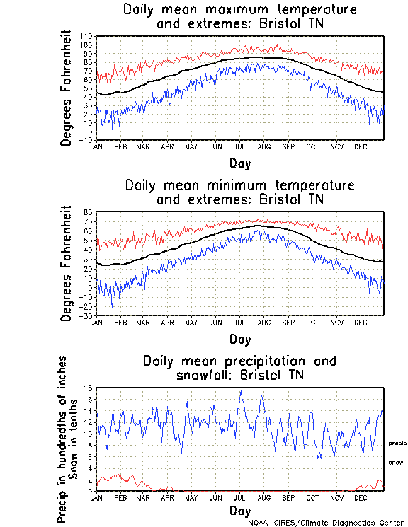 Bristol, Tennessee Annual Temperature Graph