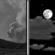 Tonight: Patchy smoke before midnight. Partly cloudy, with a low around 49. West northwest wind around 7 mph becoming north northeast after midnight. 