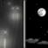 Saturday Night: A slight chance of rain before 11pm.  Mostly clear, with a low around 34.