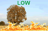 Fire Weather Index: LOW